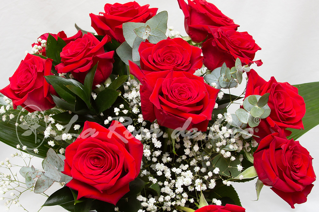 Ramo 12 Rosas Rojas - Floristería La Rosa de Oro