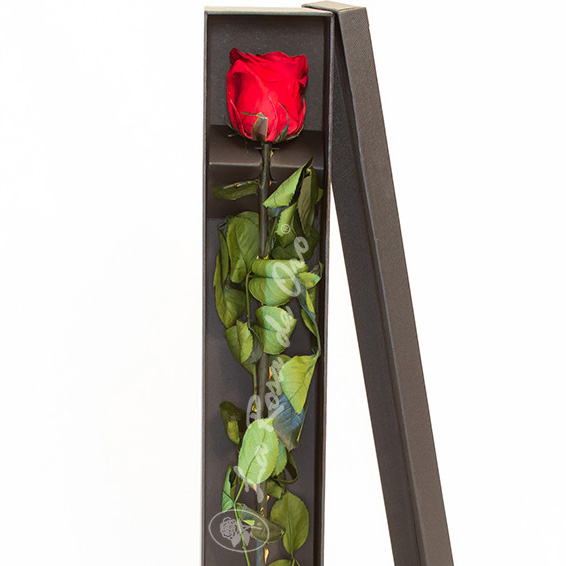 Rosa Eterna Roja en Caja - Floristería La Rosa de Oro