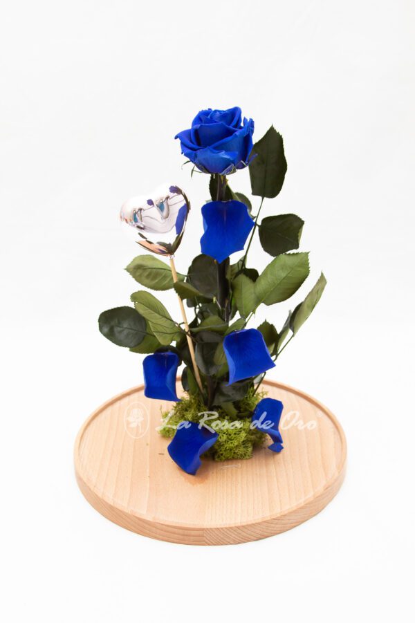 Rosa Eterna Azul en Cúpula Grande 1