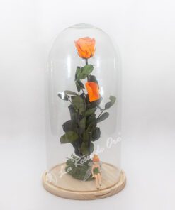 Rosa Eterna Naranja en Cúpula Grande 1