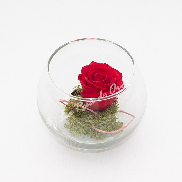 Rosa eterna mini en base de cristal - Floristería La Rosa de Oro