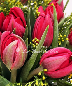 comprar tulipanes rojos