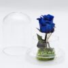 Rosa preservada azul en cúpula
