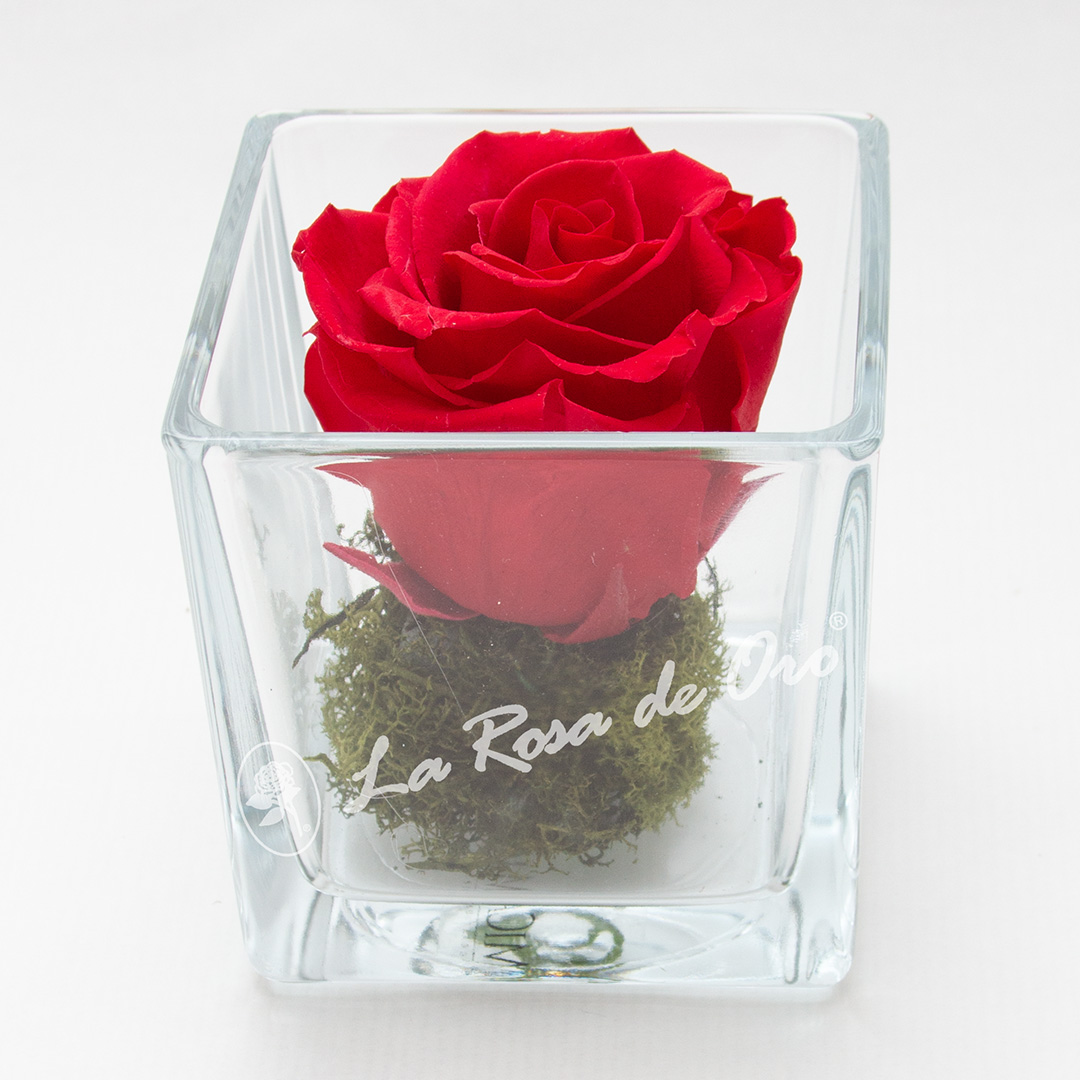 Rosa preservada en base de cristal cuadrado - Floristería La Rosa de Oro