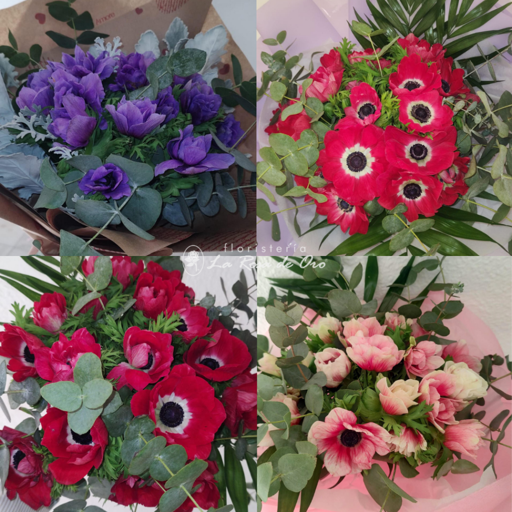 Ramo de anémonas Grande | Floristería La Rosa de Oro