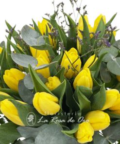 comprar tulipanes amarillos