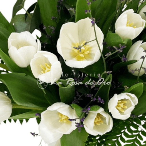 floristeria online