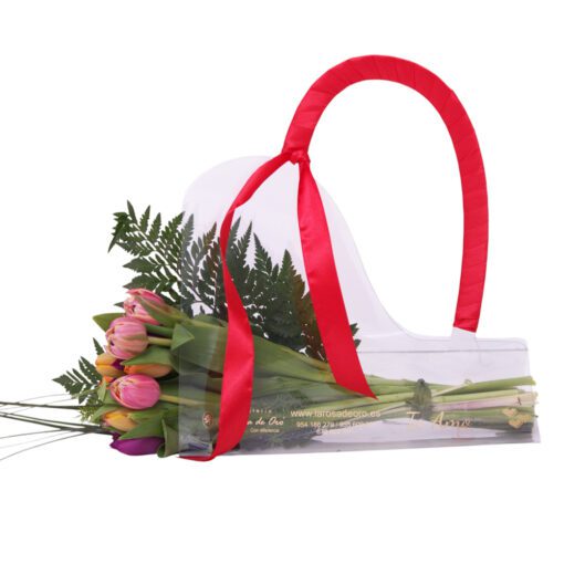 Bolso-de-Tulipanes-multicolor2