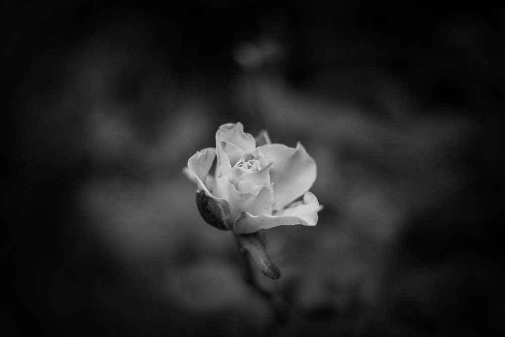Flores para defunciones en Sevilla