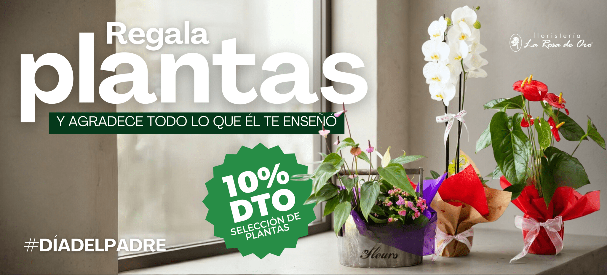 floristeria online