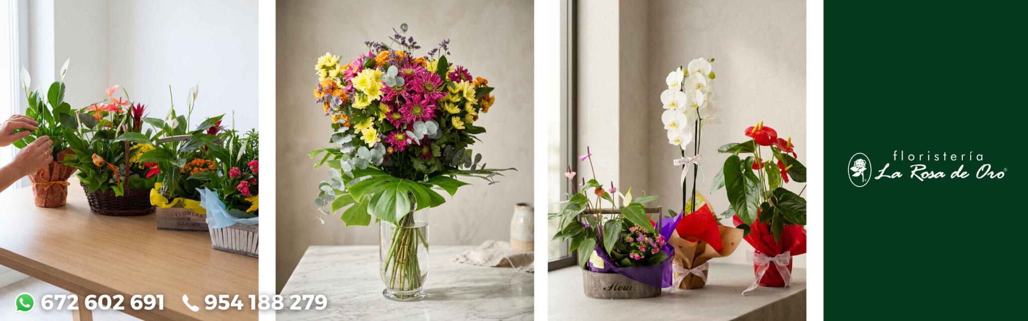 floristeria online