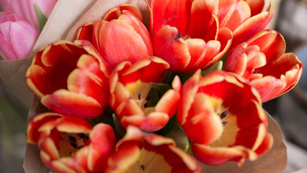 Reparto inmediato desde nuestra floristería en San Juan de Aznaljarafe