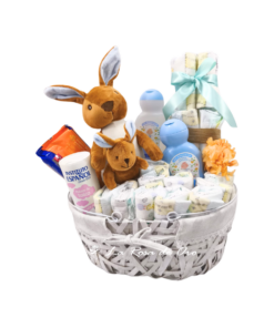 Bienvenido Peque – Cesta de nacimiento con pañales y peluche floristeria Bienvenido Peque – Cesta de nacimiento con pañales y peluche floristeria