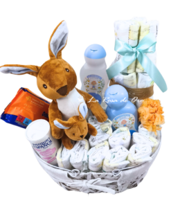 Bienvenido Peque – Cesta de nacimiento con pañales y peluche floristeria