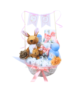 Primeros Mimos – Cesta de nacimiento con pañales y peluche