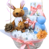 Primeros Mimos – Cesta de nacimiento con pañales y peluche